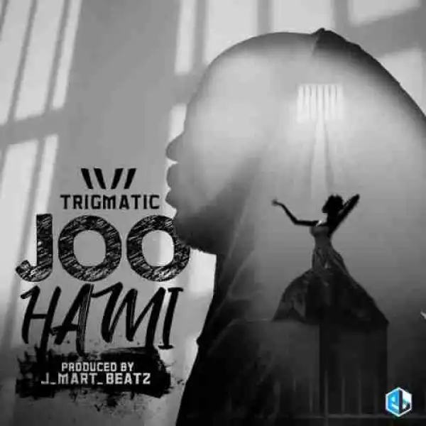 Trigmatic - Joo Hami (Prod By JMart Beatz)